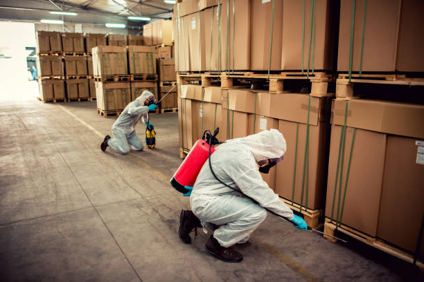 Best Ant Control Services  in New Lexington, OH