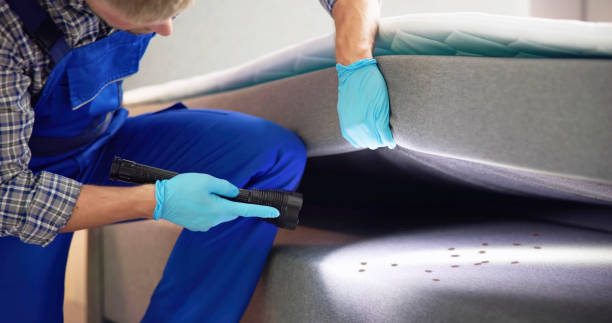 Best Termite Control Services  in New Lexington, OH
