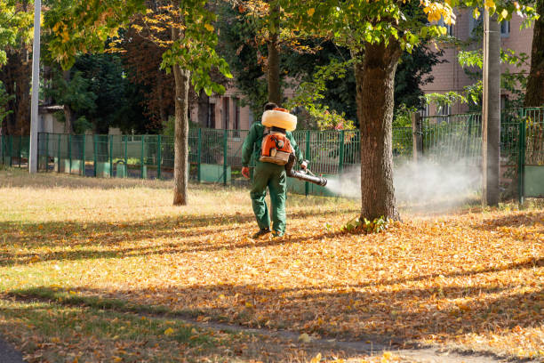 Best Wildlife Control Services  in New Lexington, OH